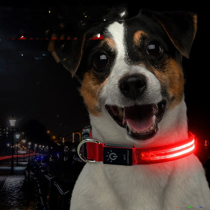 LED Waterproof Night cat dog Pet Collar with Lighting USB