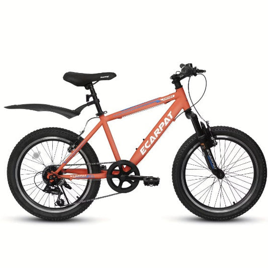 Mountain Bikes 20 Inch