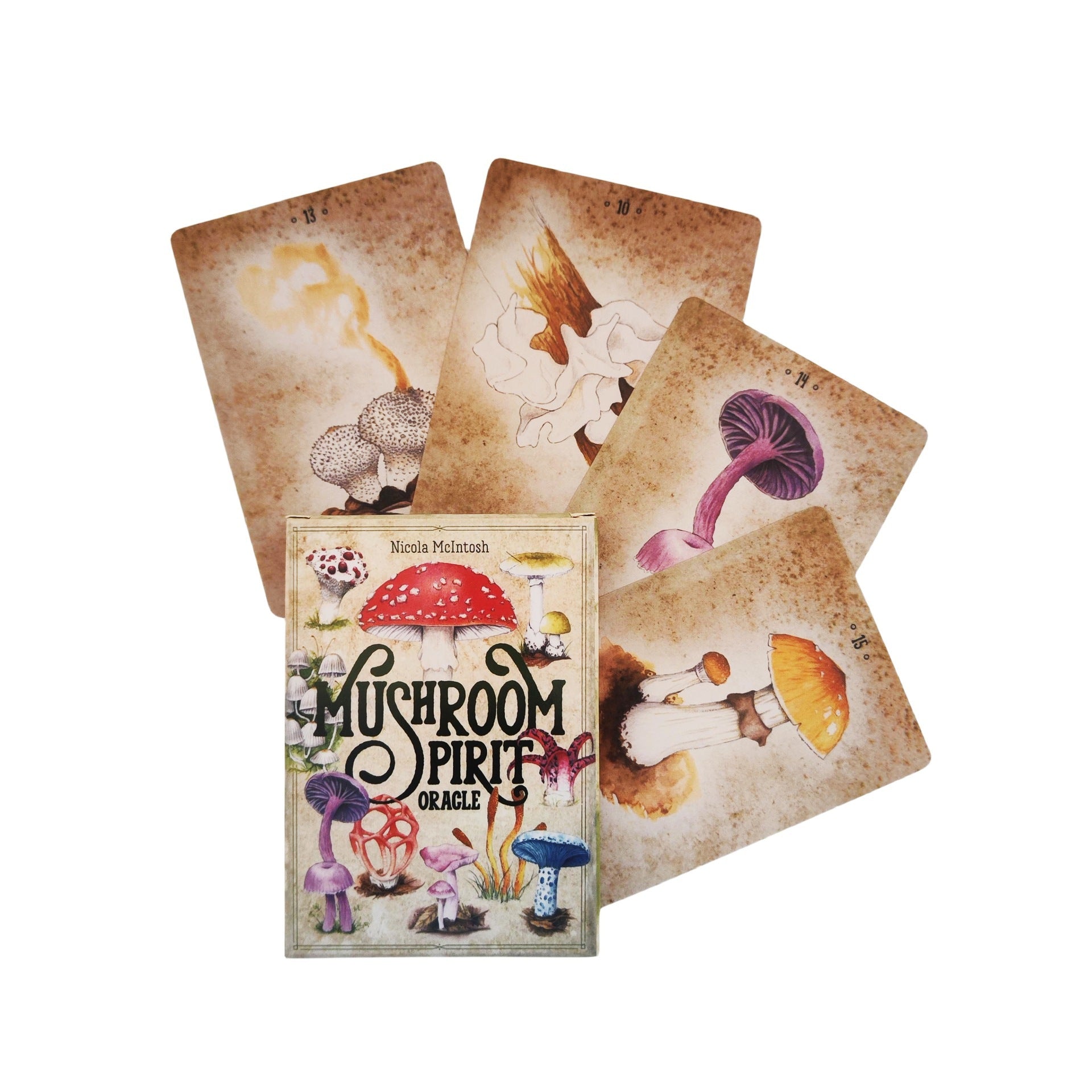 Mushroom Spirit Oracle Card set featuring 36 English board game cards with colorful illustrations.
