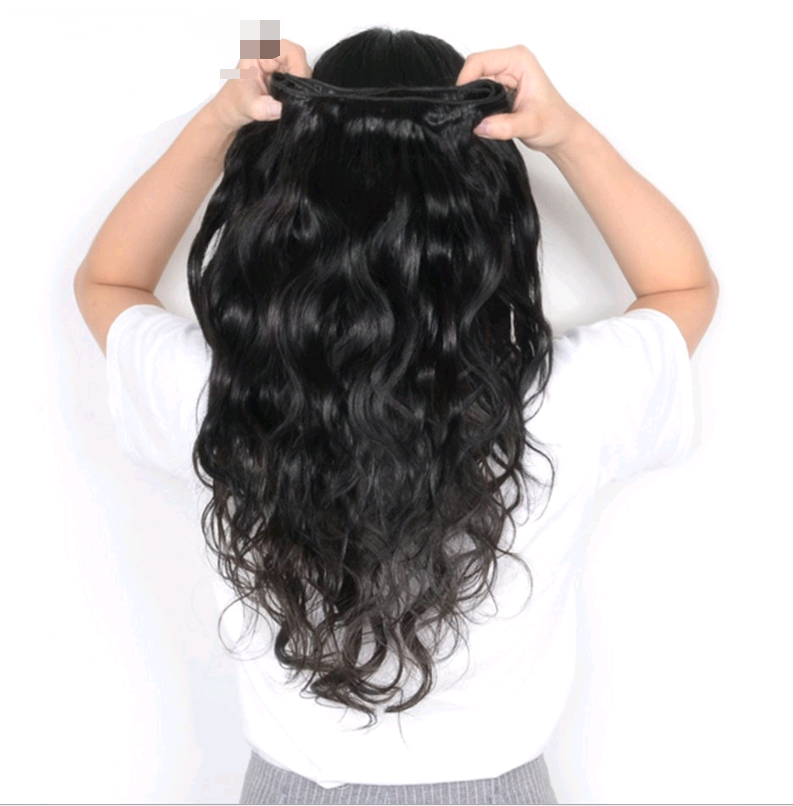 Realistic Hair Wig with Hair Extensions