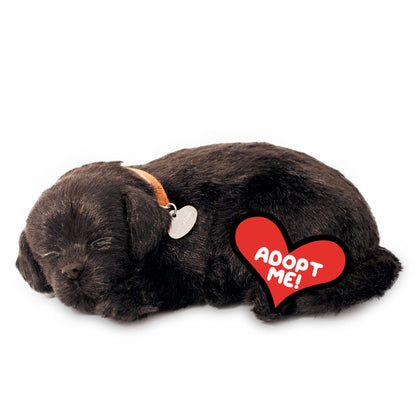 Perfect Petzzz - Original Petzzz Black Lab Realistic Lifelike Stuffed Interactive Pet Toy Companion Pet Dog with 100% Handcrafted Synthetic Fur