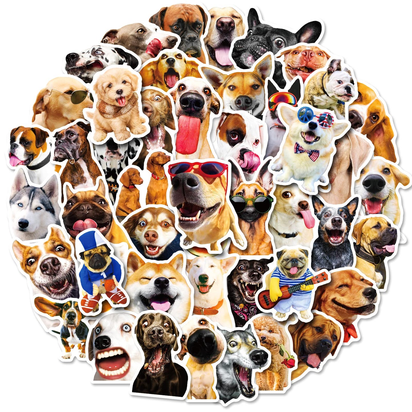 Funny Dog Meme Stickers50 PCS Funny Dog Stickers Cute Animal Sticker for Journaling Laptop Scrapbook Water Bottles Guitar Suitcase Phone Snowboard Waterproof Vinyl Gifts