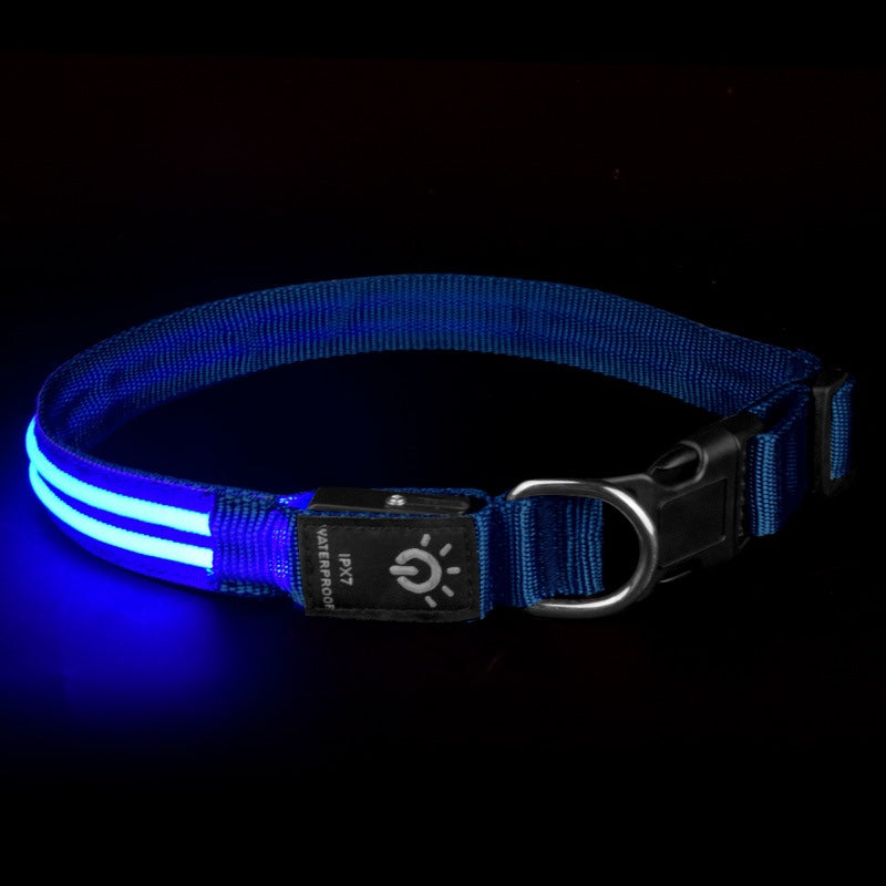 LED Waterproof Night cat dog Pet Collar with Lighting USB
