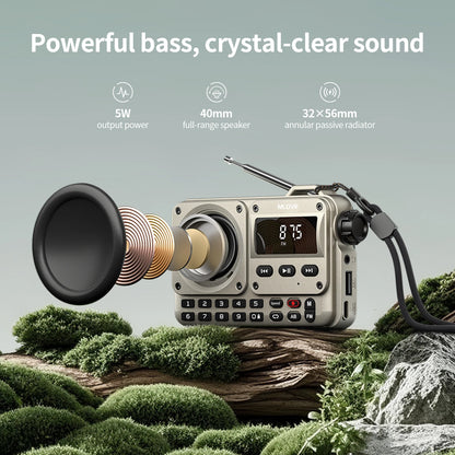 MLOVE BV800P Portable Bluetooth Speaker with FM Radio And MP3 Player Features USB TF Card AUX Antenna All-in-One Audio
