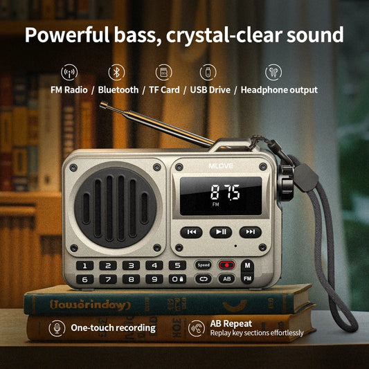 MLOVE BV800P Portable Bluetooth Speaker with FM Radio And MP3 Player Features USB TF Card AUX Antenna All-in-One Audio