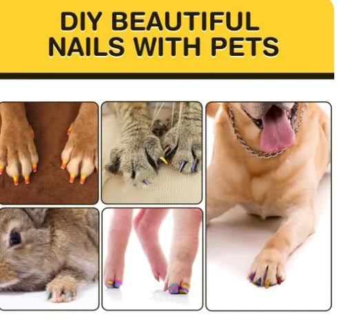 Dog Nail Polish Pen 12 colors