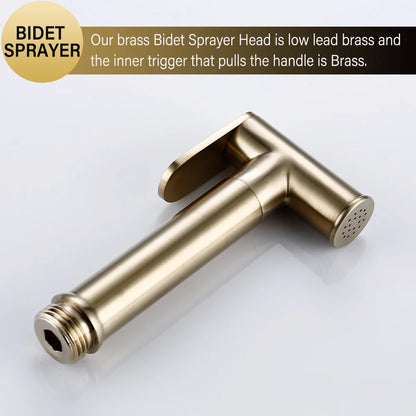 Brushed Rose Gold Bidet Sprayer Faucet Bathroom Mixer Wall Mounted Hot Cold Water With Hose Smesiteli