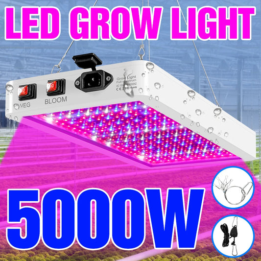 5000W Indoor LED Grow Lights LED Plant Lamp Bulb 220V Full Spectrum Phytolamp 4000W 110V Hydroponics Lampara LED Panel Bulb