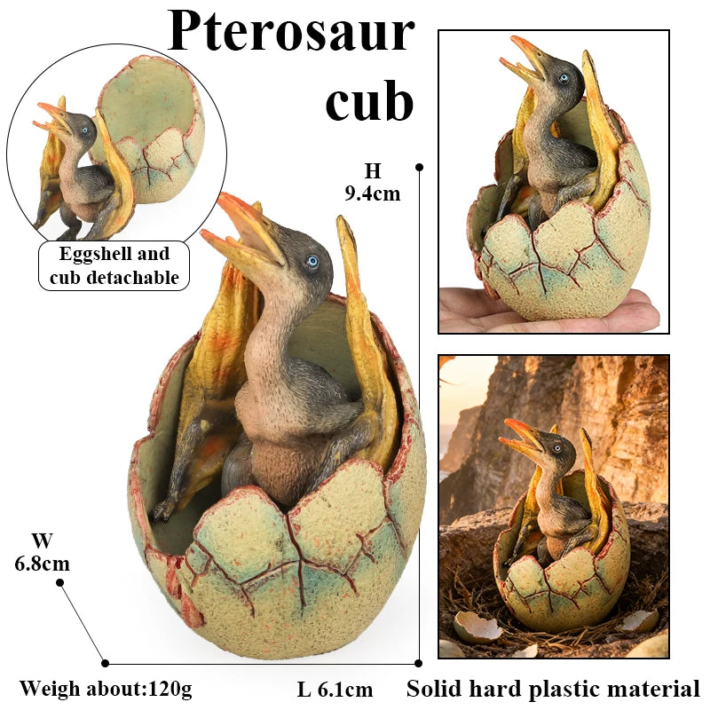 Oenux Classic Dinosaur Cubs T-Rex Saichania Spinosaurus Velociraptor  Pterosaur Cracked Dinosaur Egg Model Collection Kid Toy