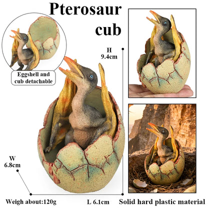 Oenux Classic Dinosaur Cubs T-Rex Saichania Spinosaurus Velociraptor  Pterosaur Cracked Dinosaur Egg Model Collection Kid Toy