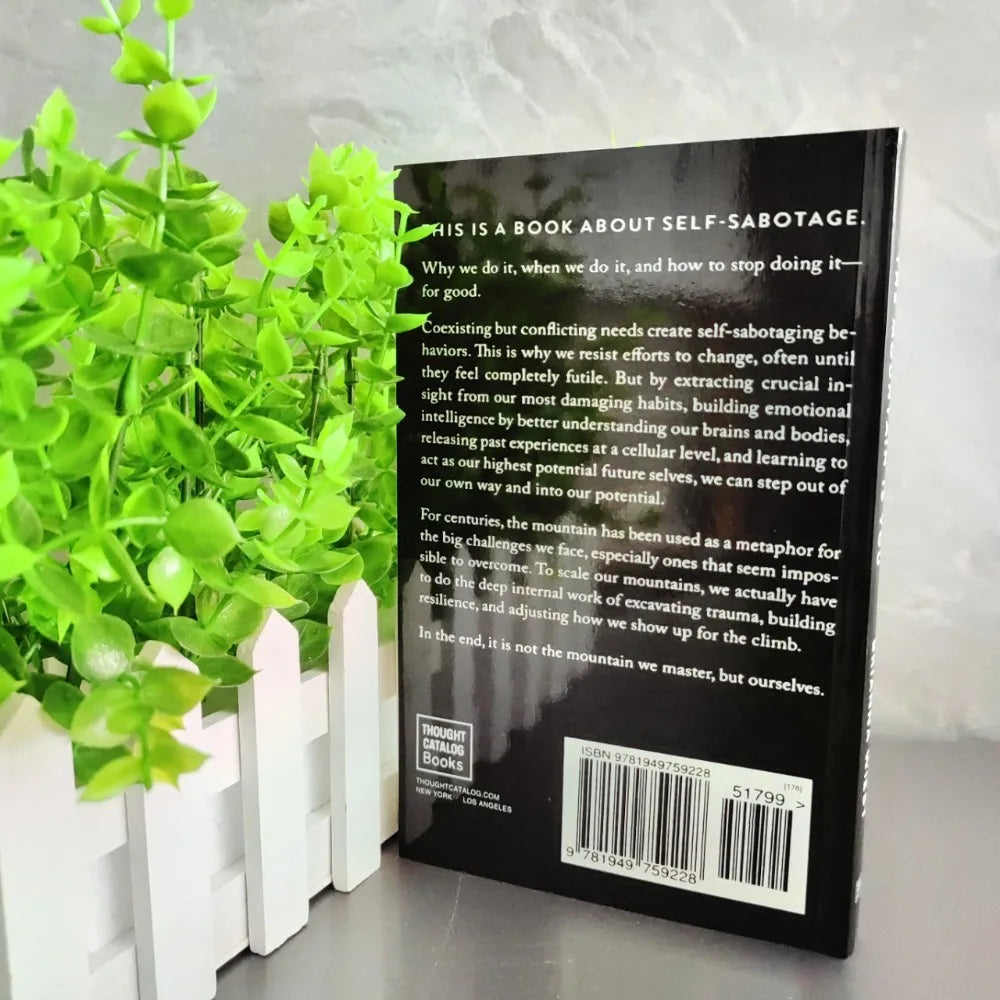 The Mountain Is You English Book Self Transformation Psychology Self Help Reading Book Inspirational Self Growth Novel