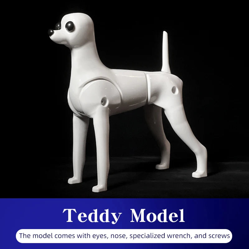Teddy Pet Simulation Hair Beauty Fake Beautician Practicing Dog Standard Teddy Full Body Fake Head, Skeleton Model, Pet Groomer
