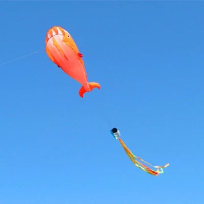Dolphin kite flying nylon soft kite line animal kites inflatable kite reel outdoor toys Kite surfing beach kites sport parachute