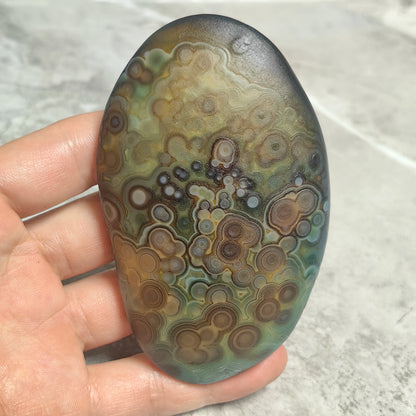 Large Natural Gobi Agate Palm Stone Flower Eye Mongolian Raw Rock Minor Flaws Unpolished For Collectors Home Decor Display