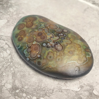 Large Natural Gobi Agate Palm Stone Flower Eye Mongolian Raw Rock Minor Flaws Unpolished For Collectors Home Decor Display