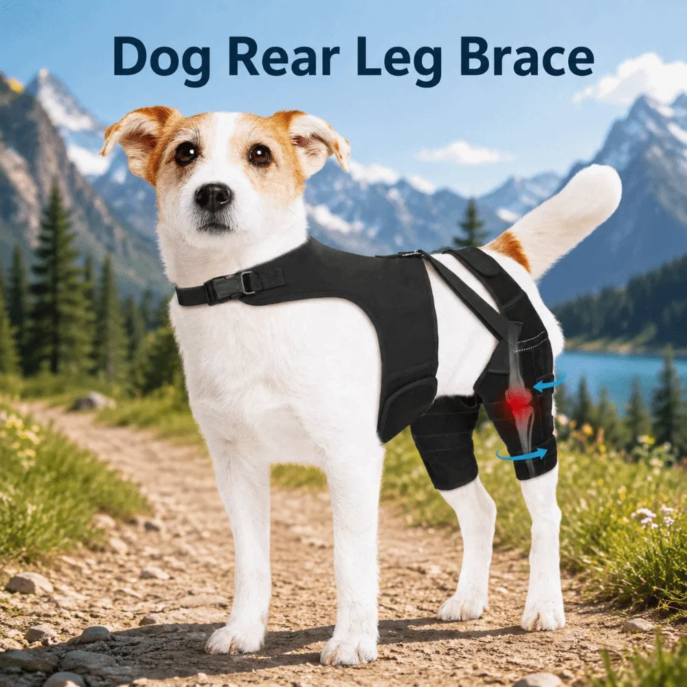 Adjustable Dog Knee Brace Anti-Licking Comfortable Fit Elbow Protection Cover Black with 4 Stabilizers Dog Rear Leg Brace