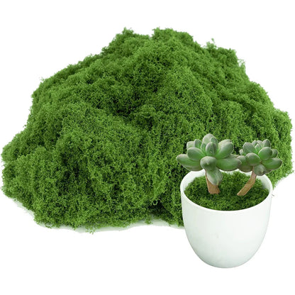 500/30G Artificial Green Plants Eternal Life Moss Mini Landscape Fake Grass DIY Crafts Grass Garden Home Room Potting Decoration