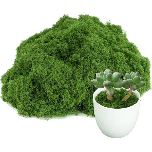 500/30G Artificial Green Plants Eternal Life Moss Mini Landscape Fake Grass DIY Crafts Grass Garden Home Room Potting Decoration