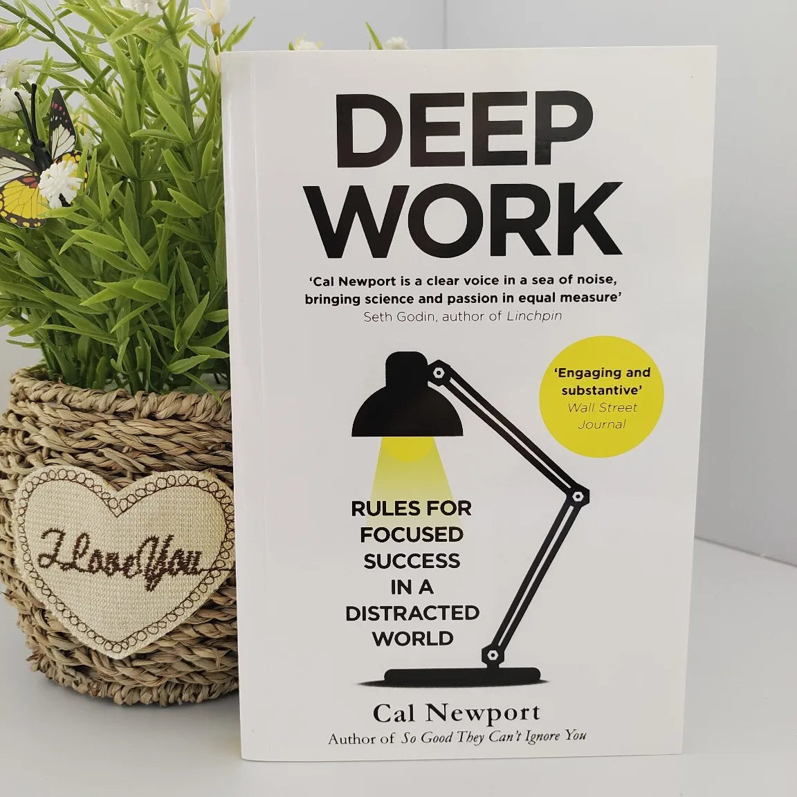 How To Use Every Bit of Brain Power Effectively in Deep Work and It's Not Your Fault. English Books Books Philosophy Libreria