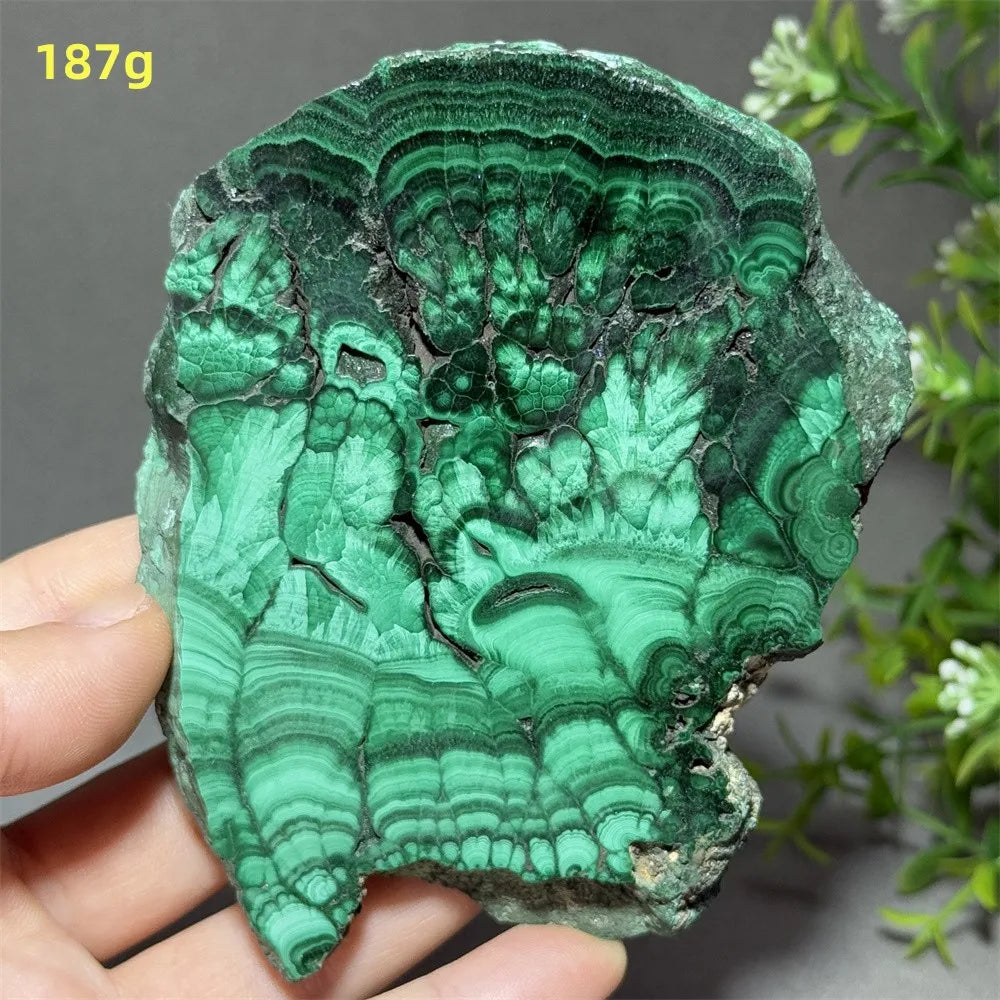 Natural High-Quality And Beautiful Malachite Slate Mineral Raw Stone Therapy Meditation Prayer Energy Home Decoration+Bracket