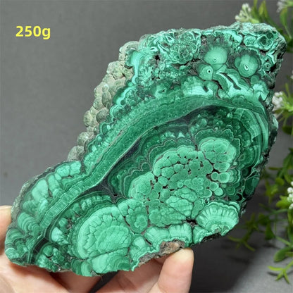 Natural High-Quality And Beautiful Malachite Slate Mineral Raw Stone Therapy Meditation Prayer Energy Home Decoration+Bracket