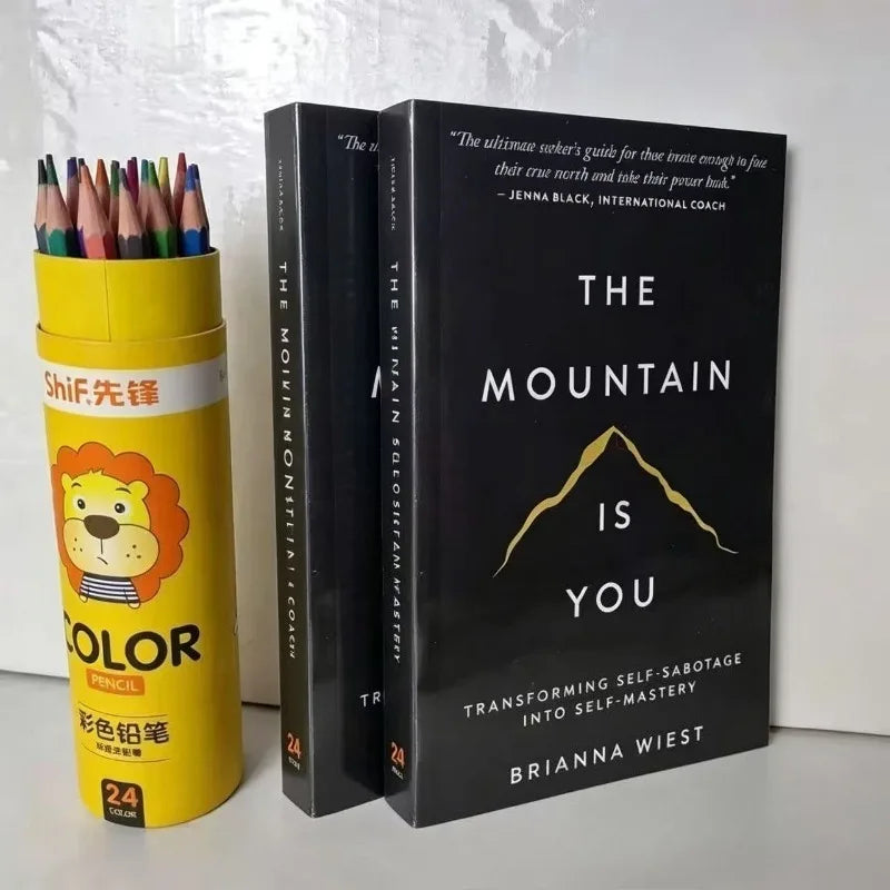 The Mountain Is You: Transforming Self-Sabotage Into Self-mastery English Books Birthday Gifts books book