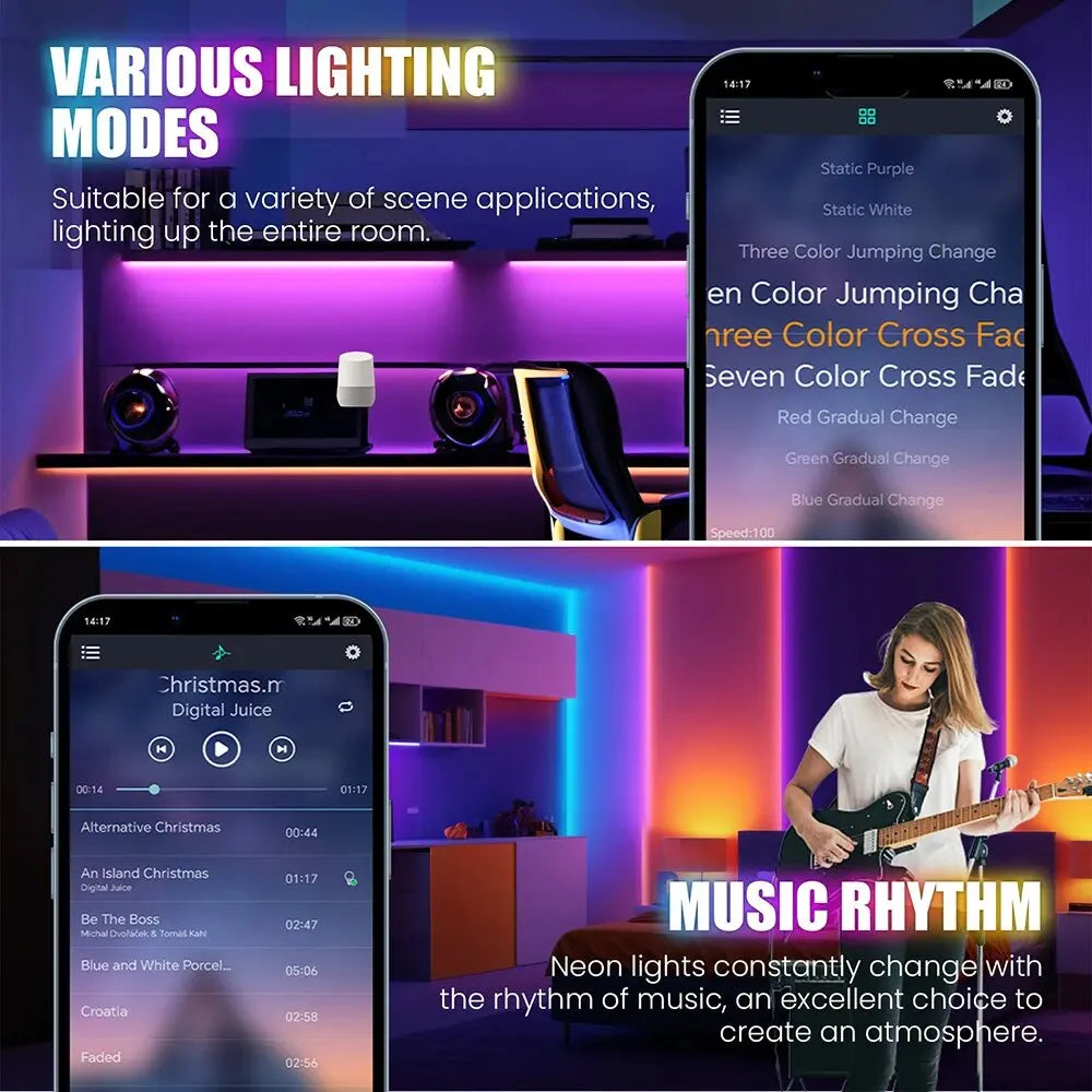 Neon Rope Light 24V 5M 10M 15M 20M 30M Rgb Bluetooth Neon Led Strip Light Outdoor Waterproof Multicolor Neon Flexible Diode Tape
