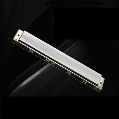 Guoguang 24-Hole 28-Hole Polyphonic Harmonica in C Key for Adults, Beginners, and Students, Entry-Level Performance Instrument, Commemorative Harmonica, Wide-Range Harmonica