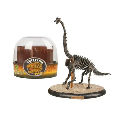 Assemble Dinosaur Bones Triceratops Skeleton Fossil Mammoth Mammuthus Assembled  Tyrannosaurus Rex Puzzles  Toys