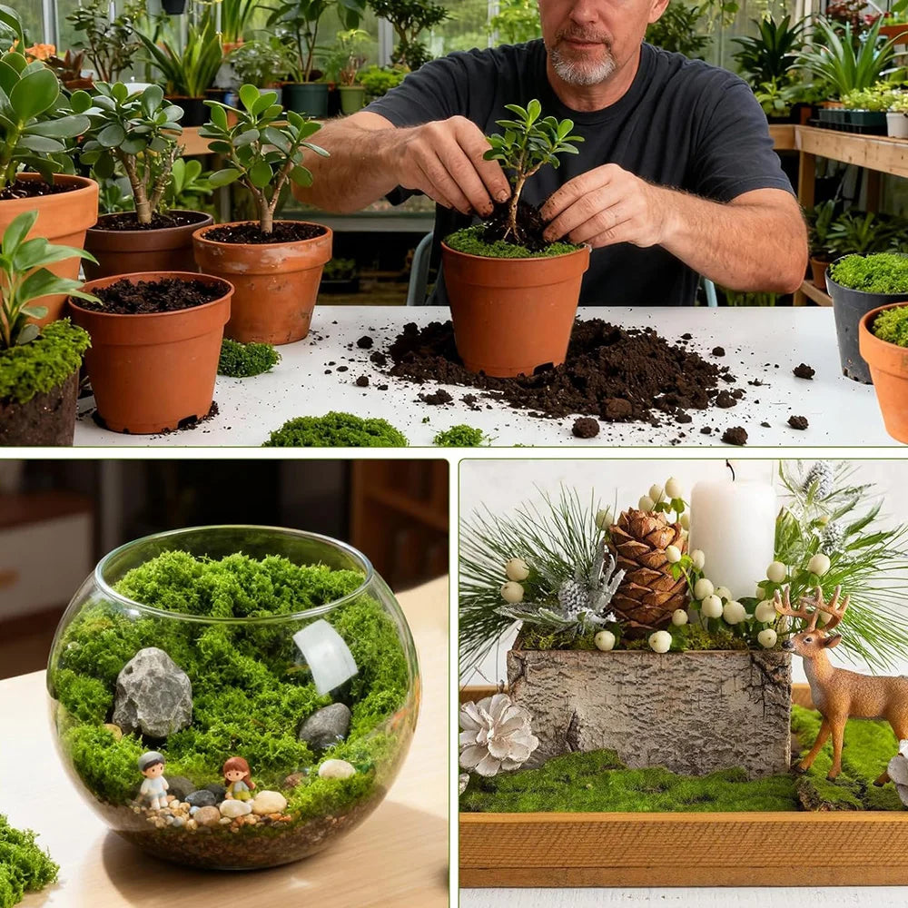 500/30G Artificial Green Plants Eternal Life Moss Mini Landscape Fake Grass DIY Crafts Grass Garden Home Room Potting Decoration