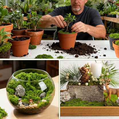 500/30G Artificial Green Plants Eternal Life Moss Mini Landscape Fake Grass DIY Crafts Grass Garden Home Room Potting Decoration