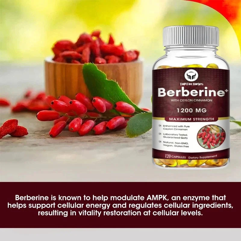 Berberine HCl 1200mg, 120 Capsules Vegetarian - Gluten Free and Non GMO