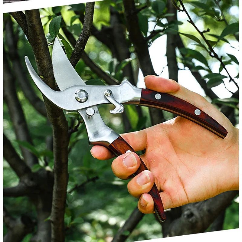 Multifunctional Garden Pruning Shears SK5 Steel Blade Labor Saving Scissors Fruit Tree Flower Branch Bonsai Trimming Tool