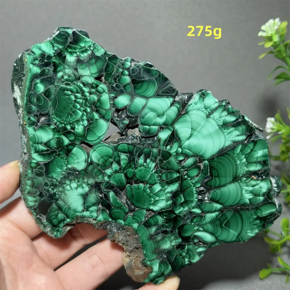 Natural High-Quality And Beautiful Malachite Slate Mineral Raw Stone Therapy Meditation Prayer Energy Home Decoration+Bracket