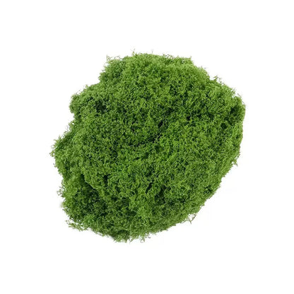 500/30G Artificial Green Plants Eternal Life Moss Mini Landscape Fake Grass DIY Crafts Grass Garden Home Room Potting Decoration
