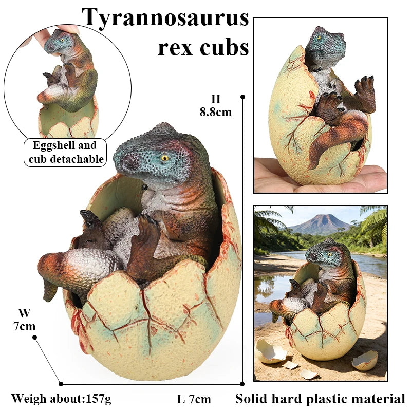 Oenux Classic Dinosaur Cubs T-Rex Saichania Spinosaurus Velociraptor  Pterosaur Cracked Dinosaur Egg Model Collection Kid Toy