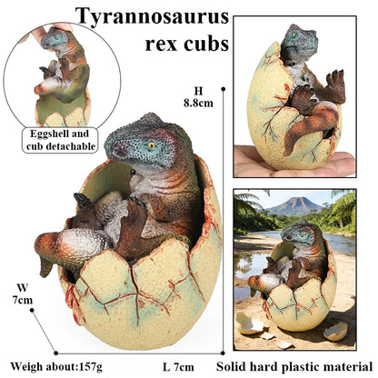 Oenux Classic Dinosaur Cubs T-Rex Saichania Spinosaurus Velociraptor  Pterosaur Cracked Dinosaur Egg Model Collection Kid Toy