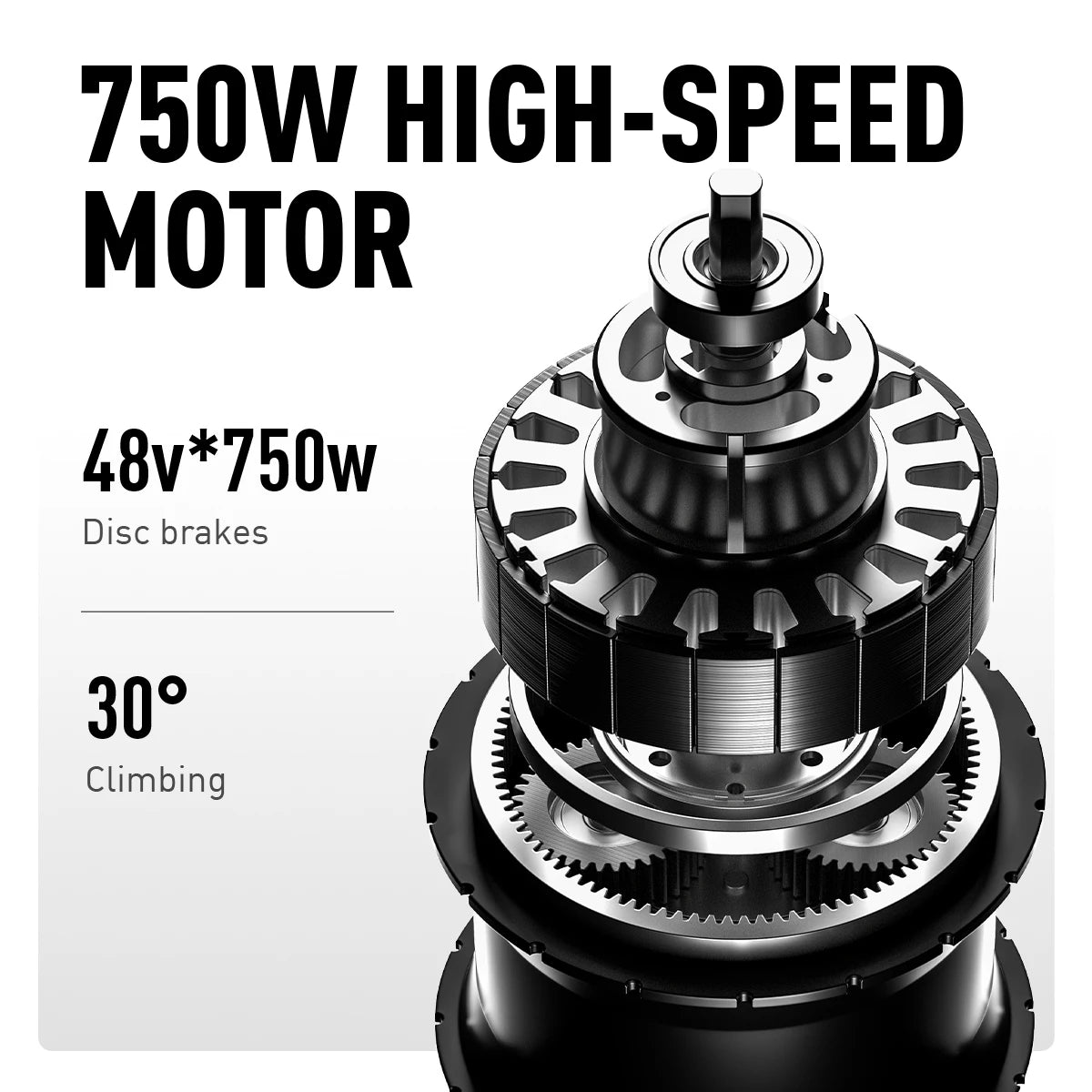 Electric Tricycle 750W Motor 48V 20AH Remover Lithium Battery Foldable 3 Wheel Electric Bike 16 Inch Fat Tire 100km Ebike