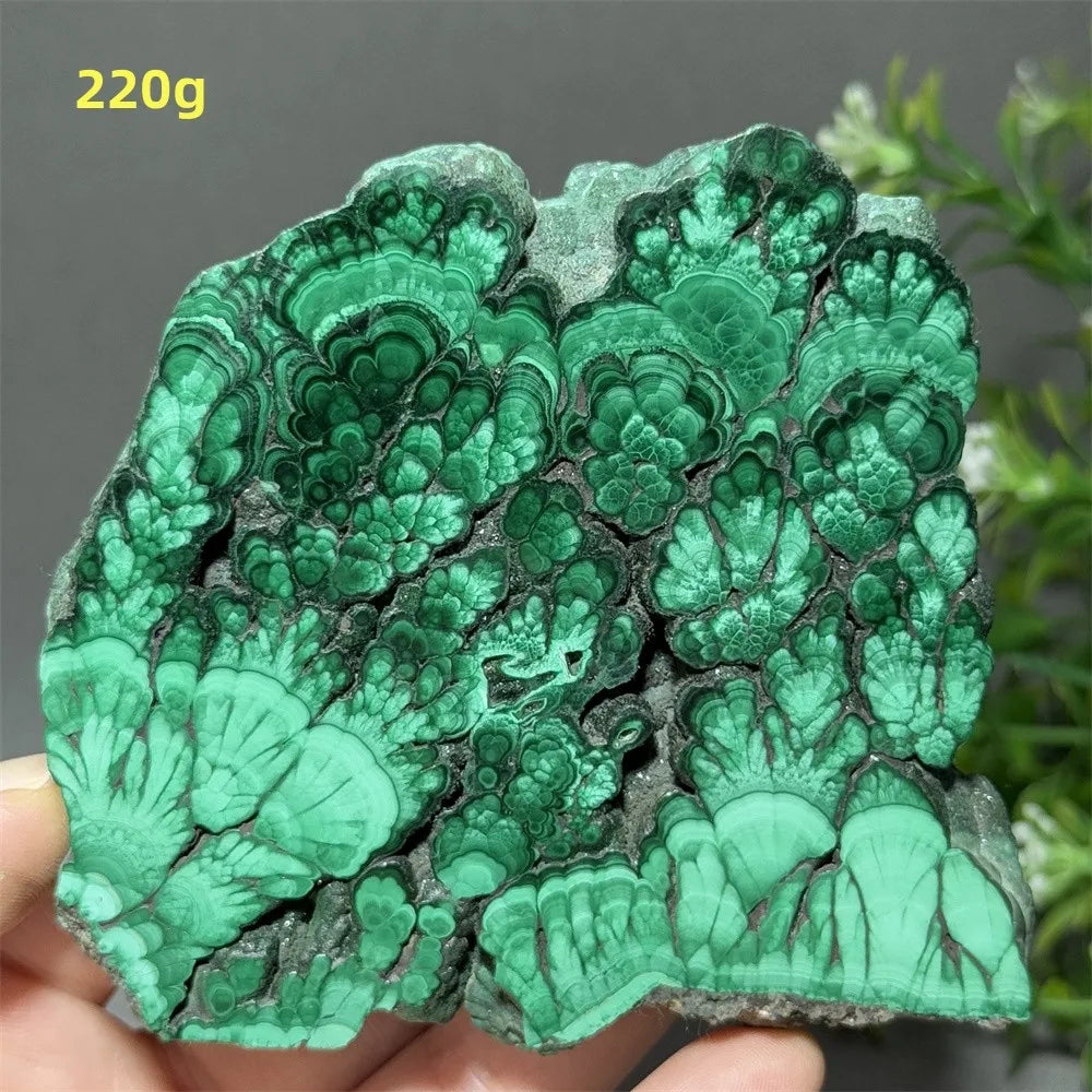 Natural High-Quality And Beautiful Malachite Slate Mineral Raw Stone Therapy Meditation Prayer Energy Home Decoration+Bracket