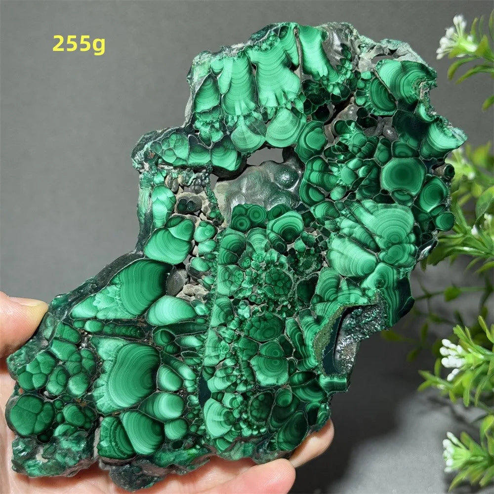 Natural High-Quality And Beautiful Malachite Slate Mineral Raw Stone Therapy Meditation Prayer Energy Home Decoration+Bracket