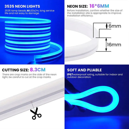 Neon Rope Light 24V 5M 10M 15M 20M 30M Rgb Bluetooth Neon Led Strip Light Outdoor Waterproof Multicolor Neon Flexible Diode Tape