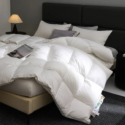 Queen Size 4-Season Down Duvet: 95% Hungarian Goose Down, Hotel Luxury, 220x240cm