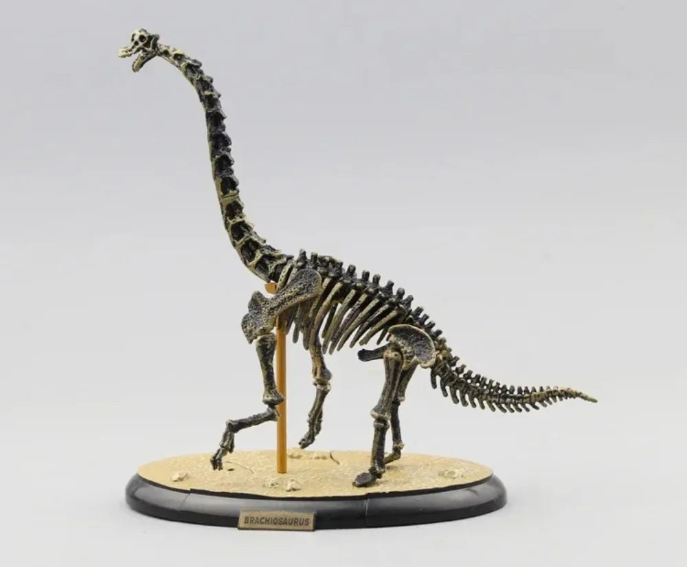 Assemble Dinosaur Bones Triceratops Skeleton Fossil Mammoth Mammuthus Assembled  Tyrannosaurus Rex Puzzles  Toys