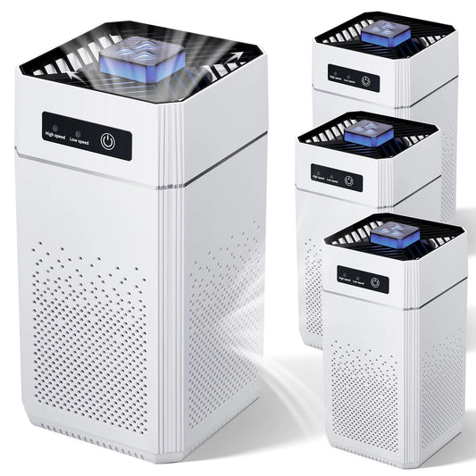 Air Purifiers for Bedroom Kitchen Quiet Air Cleaner with H11 HEPA Filter Portable with 2 Speeds for Allergies Pollen Pet Dust