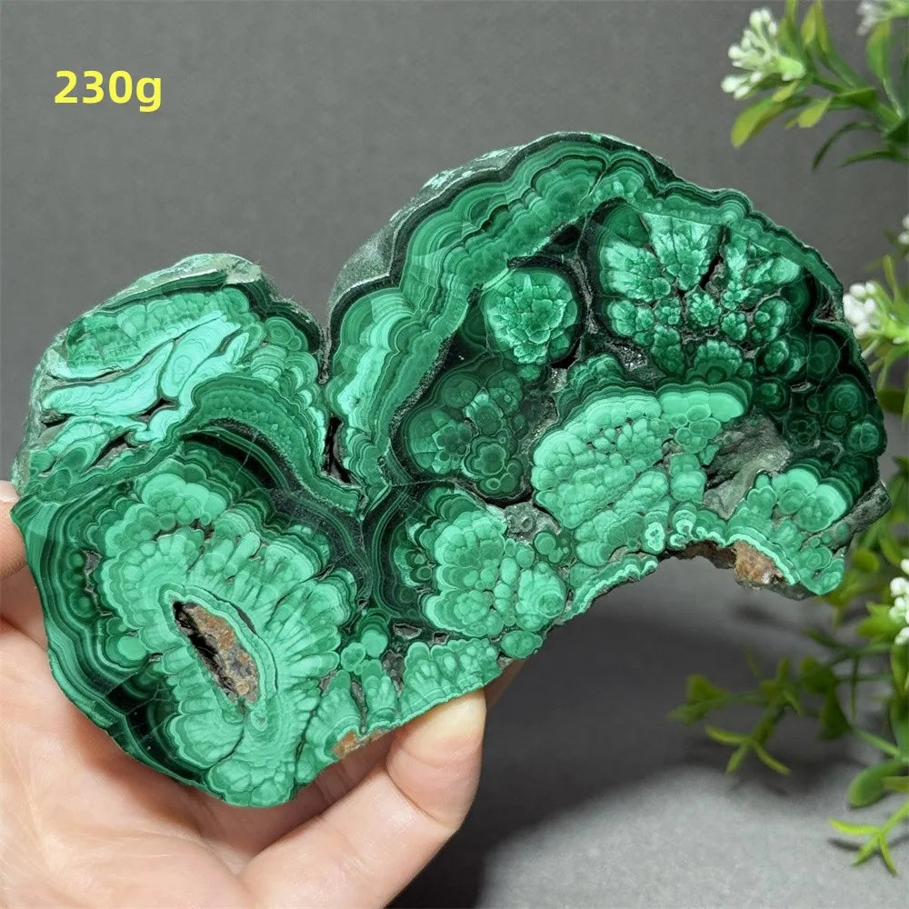 Natural High-Quality And Beautiful Malachite Slate Mineral Raw Stone Therapy Meditation Prayer Energy Home Decoration+Bracket