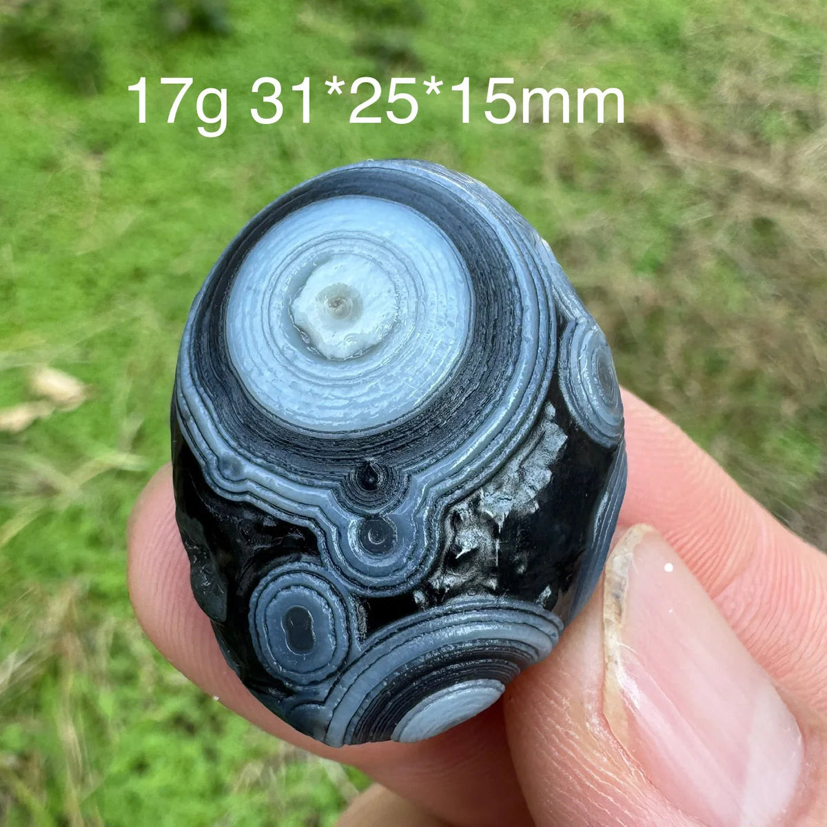 Natural Sardonyx Black Agate Alxa Gobi Eye Rock Mineral Specimen Energy Crystal Chakra Reiki Healing Stone Garden Decor DD1-8