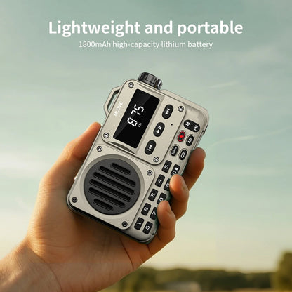 MLOVE BV800P Portable Bluetooth Speaker with FM Radio And MP3 Player Features USB TF Card AUX Antenna All-in-One Audio