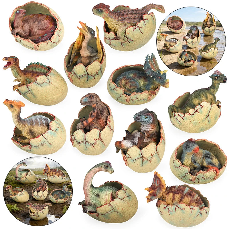 Oenux Classic Dinosaur Cubs T-Rex Saichania Spinosaurus Velociraptor  Pterosaur Cracked Dinosaur Egg Model Collection Kid Toy