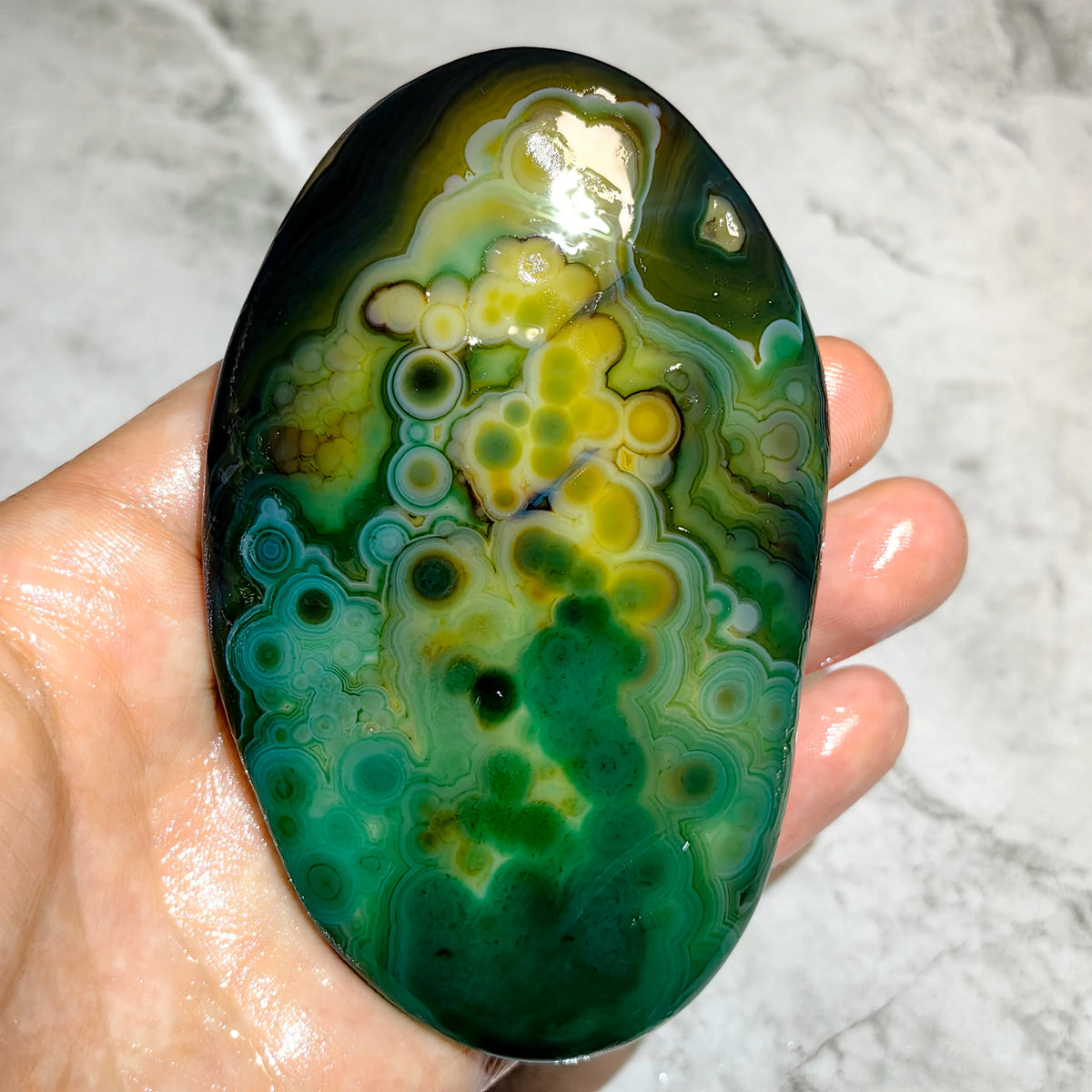 Large Natural Gobi Agate Palm Stone Flower Eye Mongolian Raw Rock Minor Flaws Unpolished For Collectors Home Decor Display