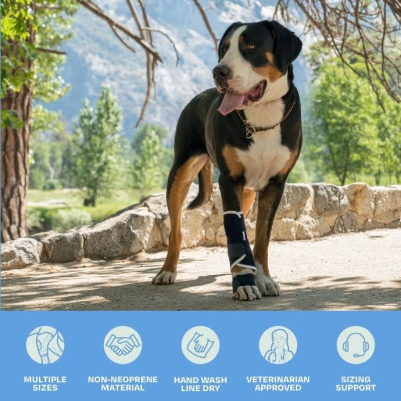 1/2pc Dog Front Leg Splint Carpal Hyperextension Dog Brace Supports Fractures and Sprains Front Leg Support Dog Ankle